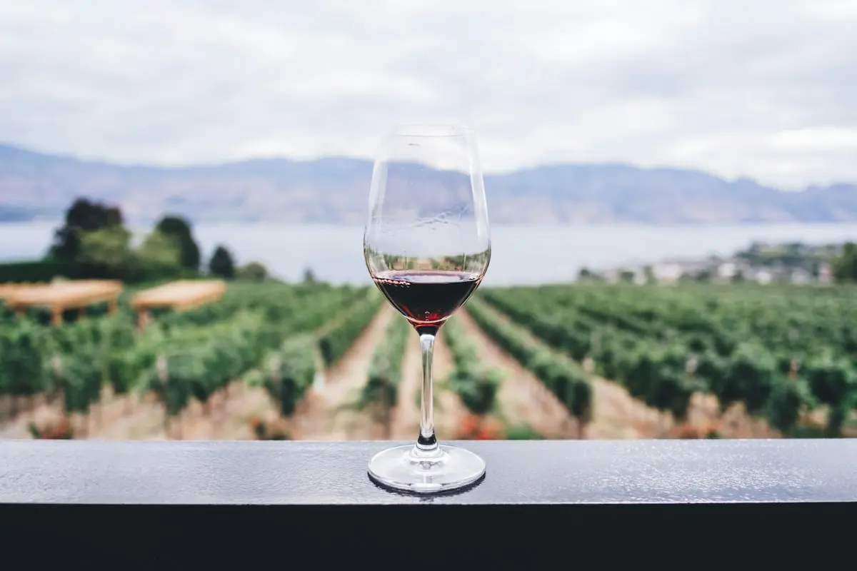 A glass of red wine on a terrace overlooking vineyards